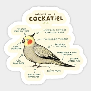 Anatomy of a Cockatiel Sticker